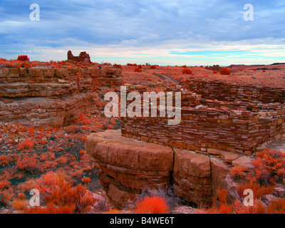 Box Canyon abitazione Wupatki National Monument Flagstaff, in Arizona USA falso-a infrarossi a colori Foto Stock