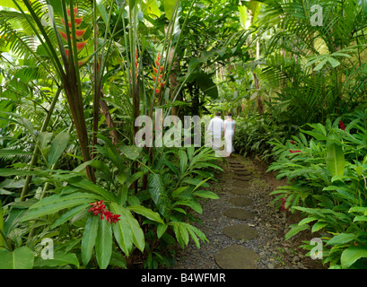 Un giovane prende a passeggiare lungo un percorso di pietra in una foresta tropicale. Foto Stock