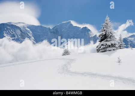 Orme attraverso la neve fresca Foto Stock