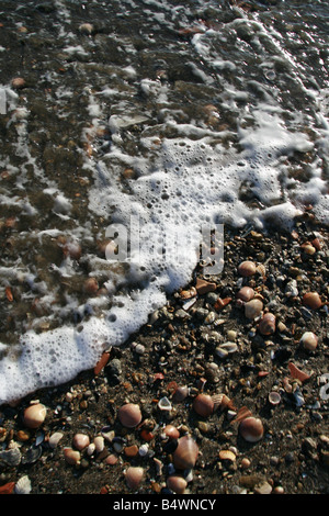 Onde che si infrangono sulle rocce di sabbia sul mare costa Foto Stock