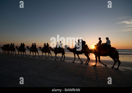 I turisti a cavallo di cammelli al tramonto lungo la spiaggia di Cable Beach in Broome Australia Occidentale Foto Stock