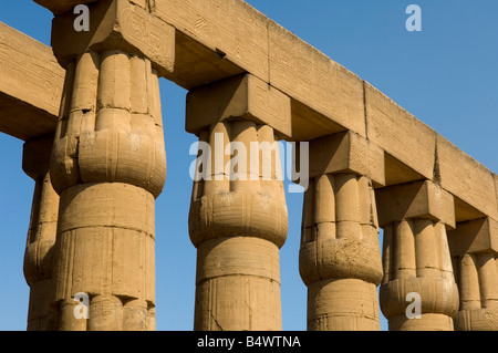 Chiuse capitali papiro su colonne della Corte del Sole di Amenhotep III, Tempio di Luxor, Patrimonio Mondiale dell'UNESCO, Luxor, Egitto Foto Stock