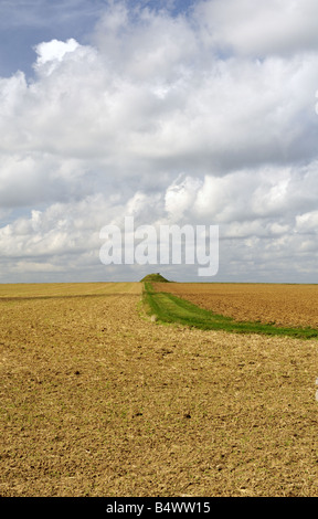 In autunno i campi e le nuvole in Francia settentrionale Foto Stock