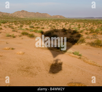 Ombra della Mongolfiera nel deserto, Phoenix, Arizona, Stati Uniti d'America Foto Stock