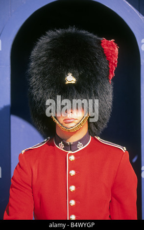 Un soldato di guardia a la Citadelle home al Van cotonati Royal xxii regime, città di Québec in Canada. Foto Stock