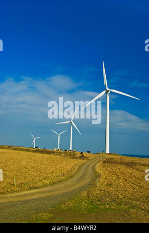 Una pista sterrata che corre attraverso una centrale eolica Foto Stock