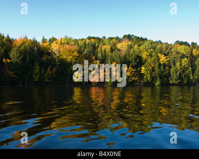 Autunno rosso con foglie di acero lungo il st John fiume fiume saint john in New Brunswick Canada Foto Stock