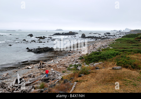 La nebbia della costa nord della California. Crescent City, California, Stati Uniti d'America. Foto Stock