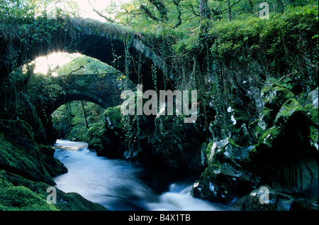 Ponte romano Penmachno Snowdonia Galles del Nord Foto Stock