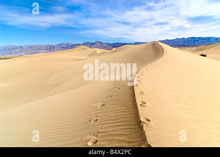 La mattina presto in Mesquite dune di sabbia adiacente al tubo da stufa pozzi nel Parco Nazionale della Valle della Morte, California. Questo illustra Foto Stock