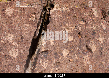 Native American incisioni rupestri in California. Foto Stock