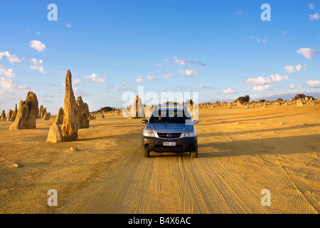 Un 4wd guidando attraverso il Deserto Pinnacles nel Nambung National Park, Australia occidentale Foto Stock