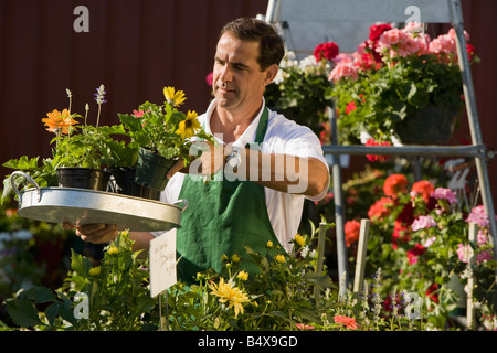 Uomo al lavoro nel centro giardino Foto Stock