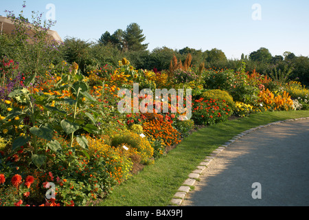 Parc Floral de Paris Bois de Vincennes Francia Foto Stock