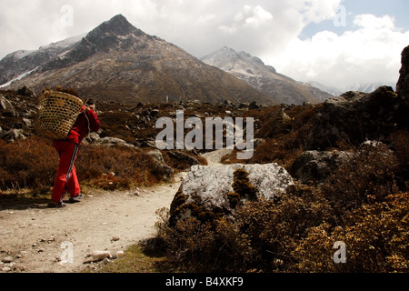 Portiere nepalese che trasportano merci in Langtang montagna himalayana di circa 4000 metri sopra il livello del mare Foto Stock