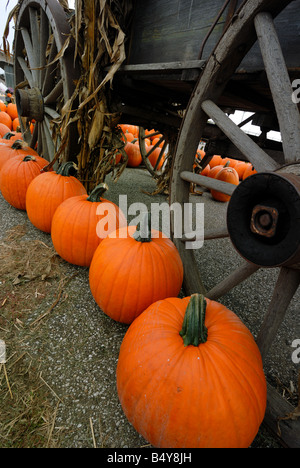 Pumkins vicino ad un vecchio carro di legno decorato con stocchi di mais Foto Stock