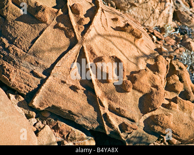 La montagna bruciata rock patterns in Damaraland Twyfelfontein Namibia Foto Stock