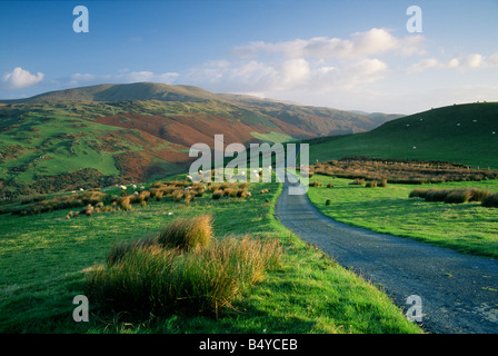 Lane sopra Aberdyfi Bryn Dinas mattina presto Snowdonia Galles del Nord Foto Stock