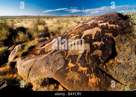 I Boscimani, petroglifi Kenhardt, Northern Cape, Sud Africa Foto Stock