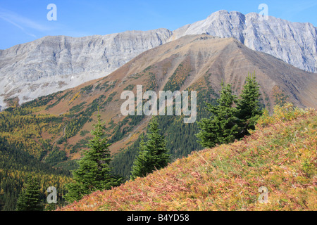 Una vista da Ptarmigan Cirque trail a Highwood Pass, Kananaskis country, Alberta Foto Stock