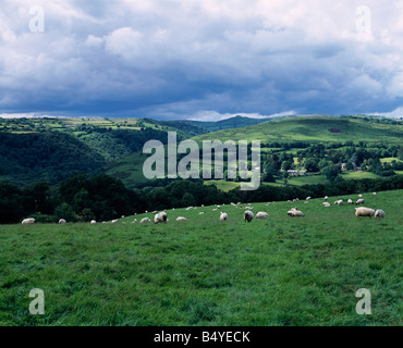 Vista sulla valle di Dart e Holne Woods vicino a Holne nel Dartmoor National Park, Devon, Inghilterra. Foto Stock