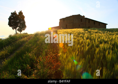 Azienda abbandonata edificio, Toscana, Pienza, Toscana, Italia Foto Stock