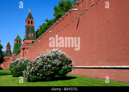 Parete meridionale del Cremlino di Mosca, Russia Foto Stock