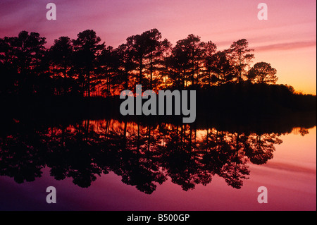 Ancora acqua crea il riflesso perfetto a Blackwater National Wildlife Refuge in Cambridge Maryland Foto Stock
