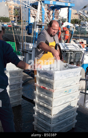Pescatore casse di lavaggio del pesce prima di avere caricato per andare al mercato Playa San Juan Tenerife Isole Canarie Foto Stock