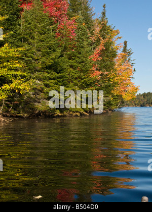 Autunno rosso con foglie di acero lungo il st John fiume fiume saint john in New Brunswick Canada Foto Stock