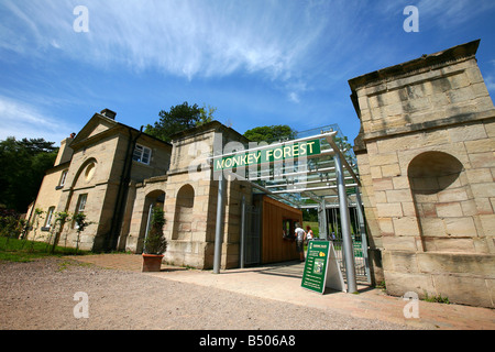 Monkey Forest ingresso, Trentham Gardens Stoke-on-Trent Staffordshire Foto Stock