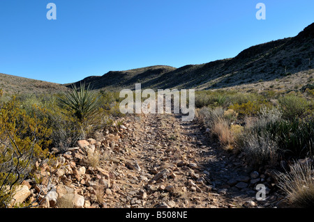 Strada sconnessa ad ovest del Texas deserto. Parco nazionale di Big Bend, Texas, Stati Uniti d'America. Foto Stock