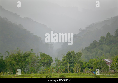 Una doccia a pioggia proveniente attraverso i Kelabit Highlands visto da terreni agricoli attorno al villaggio di Barrio Sarawak Malaysia Foto Stock