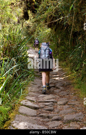 Due escursionisti sul terzo giorno tre del Inca Trail, Camino Inka, sul percorso attraverso la foresta nuvolosa nelle Ande, Perù Foto Stock