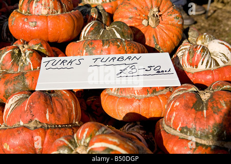 Turk's Turban zucche (Cucurbita maxima 'Turban') in vendita in autunno. REGNO UNITO Foto Stock