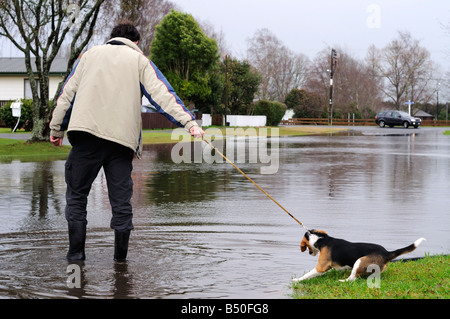 Uomo cane da tiro attraverso strade allagate Foto Stock