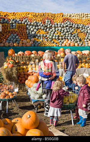 Persone che guardano al display annuale di zucche di Slindon, West Sussex, Regno Unito Foto Stock