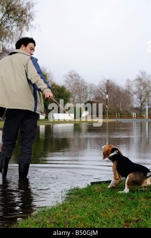 Uomo cane da tiro attraverso strade allagate Foto Stock