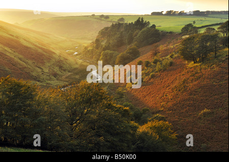 In autunno il tramonto del freno Cornham vallata a Simonsbath, Exmoor. Foto Stock