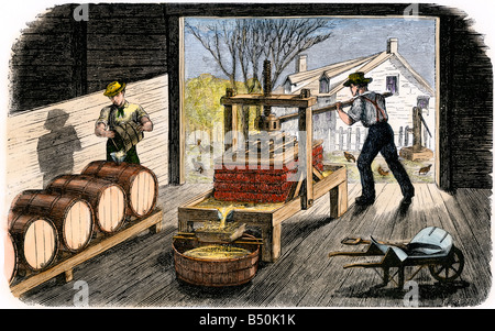 Gli agricoltori premendo le mele per fare il sidro 1800s. Colorate a mano la xilografia Foto Stock