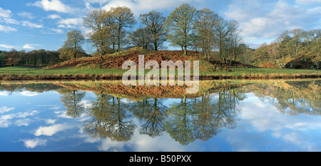 Riflessioni panoramica in Elterwater nel distretto del Lago Foto Stock