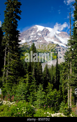 Monte Rainier Foto Stock