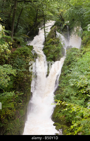 Inondazioni in magazzino Ghyll Ambleside Lake District UK Foto Stock