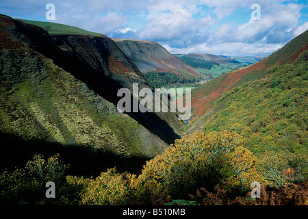 Afon Twymyn gorge Dylife Powys Galles Centrale Foto Stock