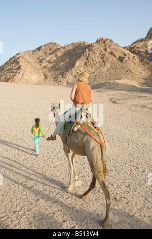 Equitazione turistica sui cammelli beduino nel deserto del Sinai vicino a Dahab in Egitto Foto Stock