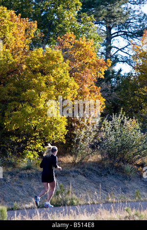 La donna corre attraverso la macchia di Oak Tree stands lighting fino alla mattina con colori eccezionali presto su un caldo Colorado mattina autunnale Foto Stock