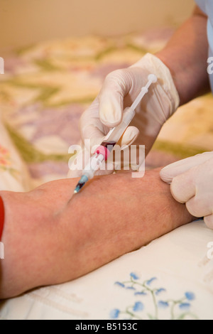 L'infermiera di prendere un campione di sangue da un paziente a casa Foto Stock