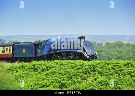 Sir Nigel Gresley sotto il vapore Foto Stock