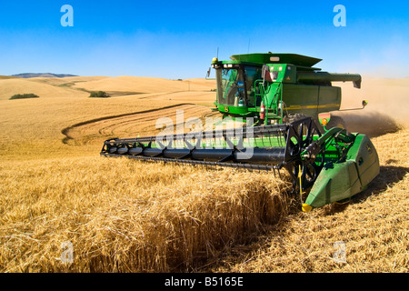 Una mietitrebbia di raccolti di frumento sulle colline della regione di Palouse di Washington Foto Stock