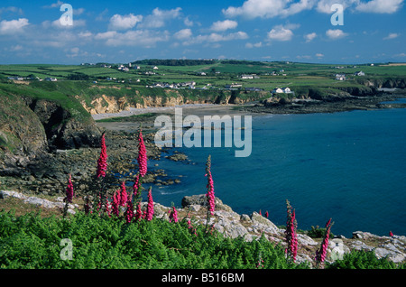 Chiesa Bay Anglesey North Wales Foto Stock